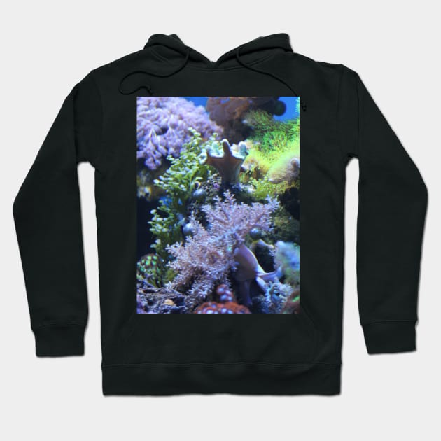 Coral Hoodie by RFMDesigns